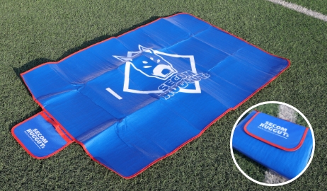 レジャーシート