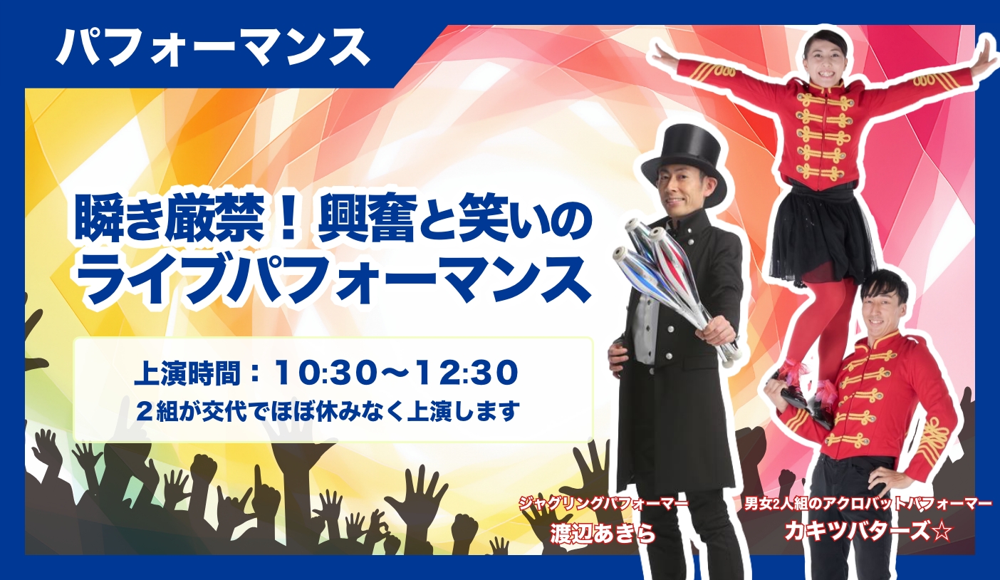 ライブパフォーマンス